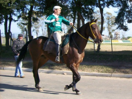 Mauricio González, "Aimara"